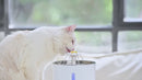 Öko Filter Pets Drinking Fountain